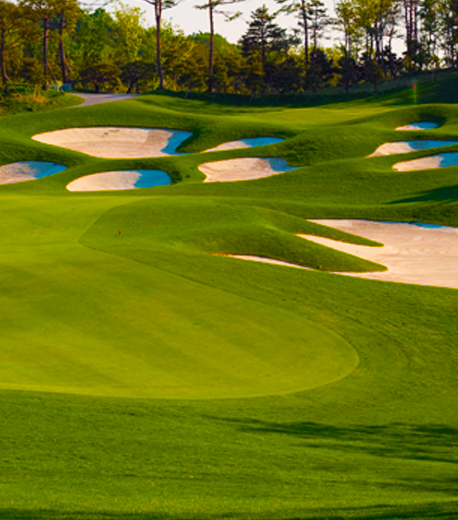 Golf Course Services image
